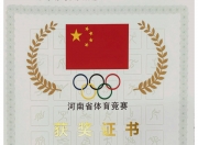 开云体育下载-柔道选手实现夺金梦想，创造历史佳绩的简单介绍