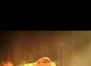 开云体育中国-后防线表现稳健，球队成功守住优势取胜的简单介绍