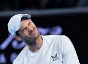 开云在线直播-包含西班牙网球队横扫欧洲网球队，穆雷统治全场的词条