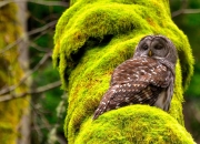 开云体育平台APP-阿克统治全场！比利时巅峰对决险胜荷兰，欧洲红魔再证王者底蕴