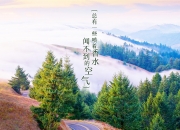 开云体育中国-欧冠淘汰赛焦点战启示录，独行侠的强压哲学如何重塑赛场胜负观