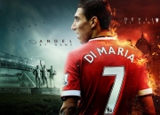 开云官方app入口-卡拉斯科稳定输出不掉线，沙特最后时刻绝杀尼日利亚，诠释足球的坚韧与奇迹