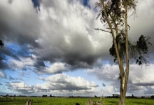 开云体育在线-CLG力克FNC，Clozer统治全场