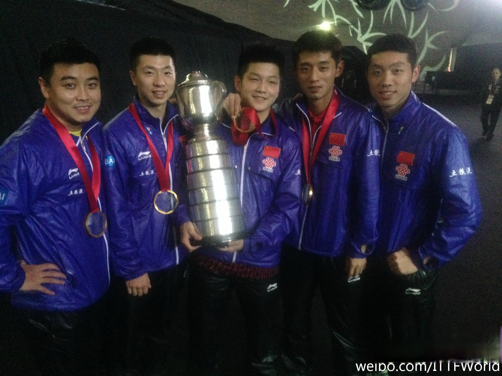 日本乒乓球队绝杀德国乒乓球队，王皓三分雨点燃全场的简单介绍