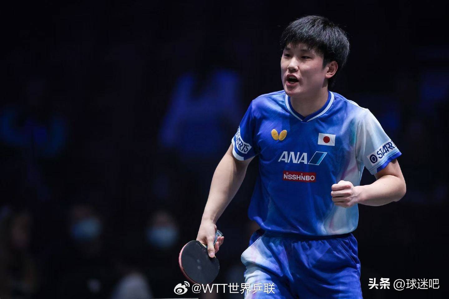 包含德国队鏖战法国队,张本智和关键制胜的词条 包含德国队鏖战法国队,张本智和关键制胜的词条