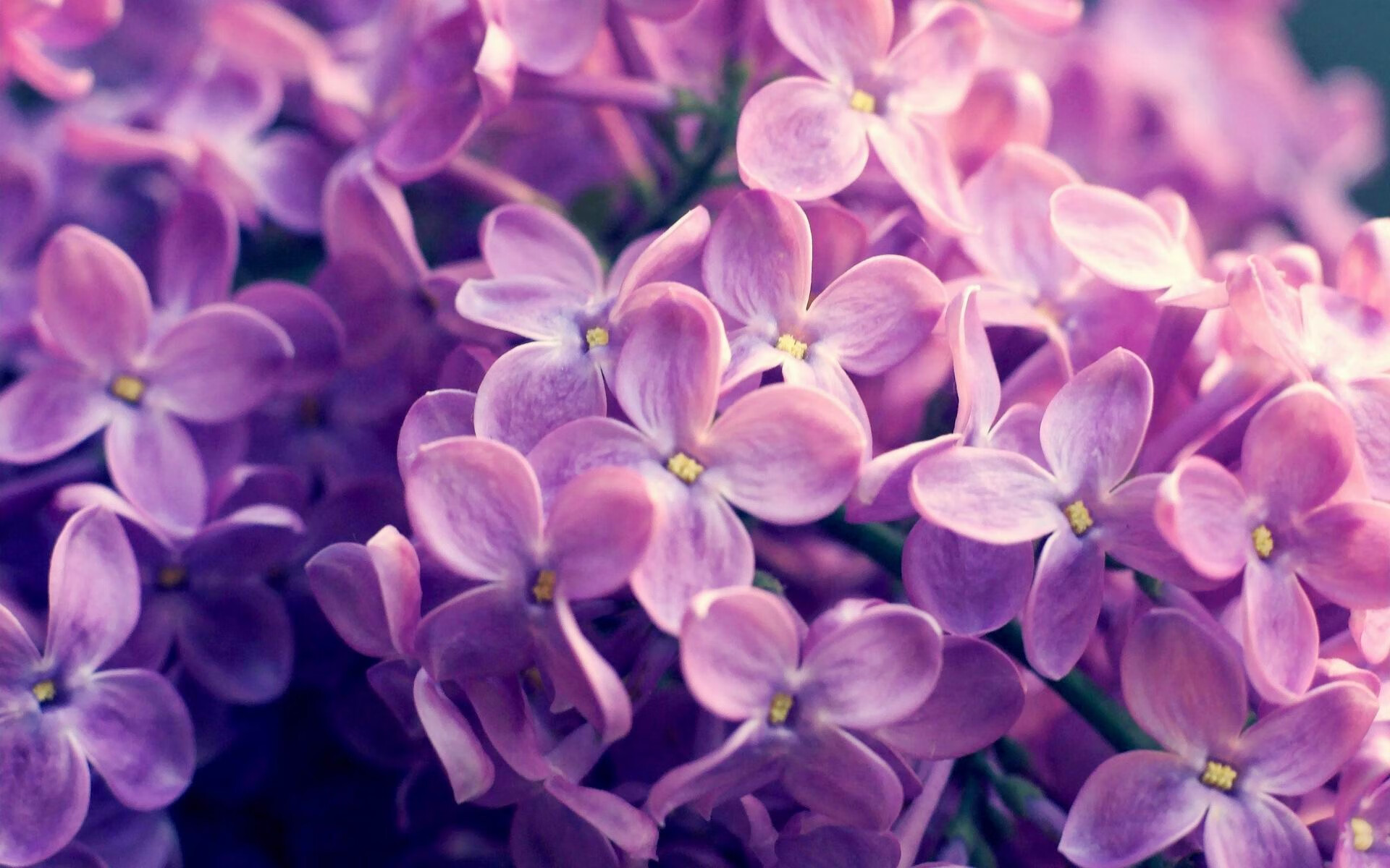 迪亚斯关键时刻站出来，英格兰击溃AC米兰，一场战术与意志的胜利