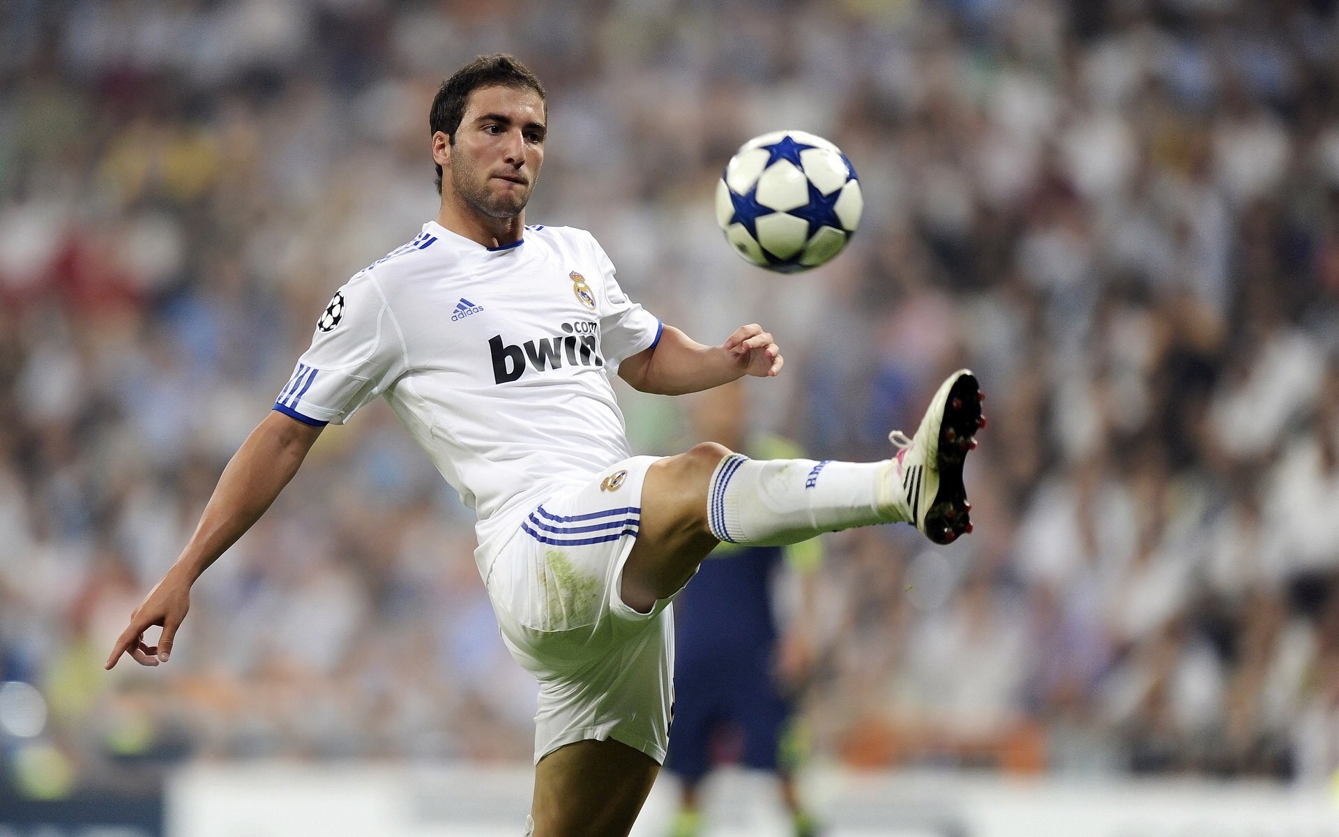 布雷默硬仗之王,那一夜,威尔士绝杀美国的永恒瞬间